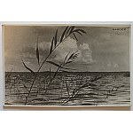 NAROCZ. [A lake in the Vilnius region]. Post. Photograph. No publisher