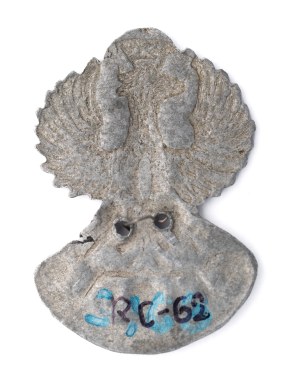 Polnische Adlerarmee in Ostrussland und Sibirien