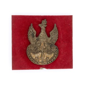 Private Navy Eagle
