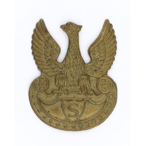 Eagle reconstituted Rifle Association