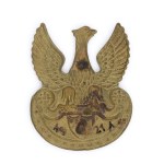 Eagle reconstituted Rifle Association