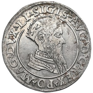 Sigismond II Auguste, quadrangle 1568, Vilnius, LI/LITV