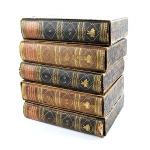 Enciclopedia illustrata di Trzaska, Evert e Michalski, volumi 1 - 5 (completi). Stampata dalla Libreria Trzaska, Evert e Michalski (101)