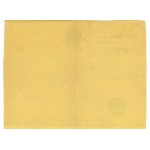 Passport, Jablonna near Warsaw, 1876 (204)