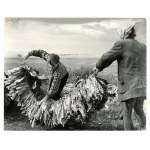Antoni Nowosielski, photo: Tobacco drying, Augustów province, 1966 (726)