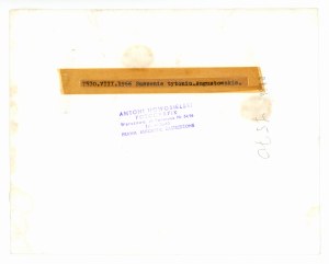 Antoni Nowosielski, fot. Suszenie tytoniu, woj. augustowskie, 1966 r. (726)