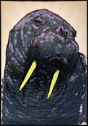 Jonasz Koperkiewicz, Walrus, 2013