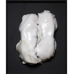 Monika Kubiaczyk - Cygan, The Silent Growth z cyklu Seed