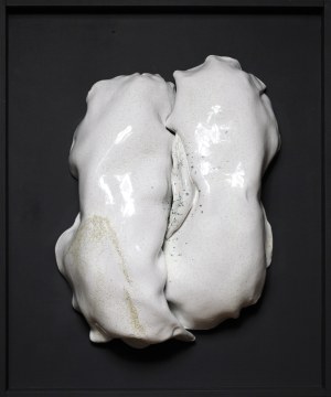 Monika Kubiaczyk - Cygan, The Silent Growth z cyklu Seed