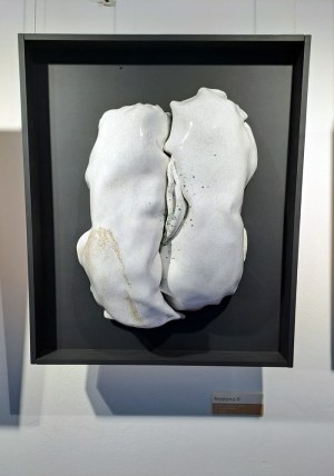 Monika Kubiaczyk - Cygan, The Silent Growth z cyklu Seed
