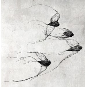 Maja Gajewska, Metal installation No. XXI - birds in a key (4 pieces)