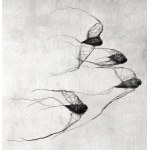 Maja Gajewska, Metal installation No. XXI - birds in a key (4 pieces)