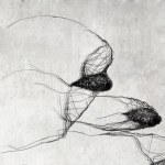 Maja Gajewska, Metal installation No. XXI - birds in a key (4 pieces)