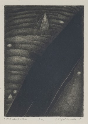 Stanisław Fijałkowski, LVIII AUTOSTRADA, 1981