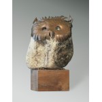 Lubomir Tomaszewski, SOWA