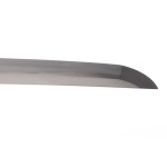 A sword that passed the two-body test, crafted by Kawachi no Kami Nagakuni, 17th century. NBTHK Tokubetsu Hozon