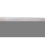 A sword that passed the two-body test, crafted by Kawachi no Kami Nagakuni, 17th century. NBTHK Tokubetsu Hozon