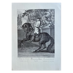 Cavalier on horseback