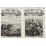 ILLUSTRATED WEEKLY 1876 I p.