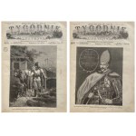 ILLUSTRATED WEEKLY 1879 II p.