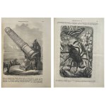 WANDERER 1869 - COMPLETE VINTAGE