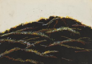 Tomasz Tatarczyk (1947 Katowice - 2010 Warszawa), Bez tytułu , 1988