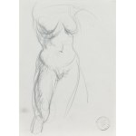 Franciszek Starowieyski (1930 Bratkówka near Krosno - 2009 Warsaw), Female nude