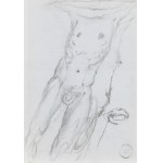 Franciszek Starowieyski (1930 Bratkówka near Krosno - 2009 Warsaw), Studium