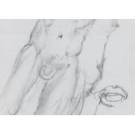 Franciszek Starowieyski (1930 Bratkówka near Krosno - 2009 Warsaw), Studium