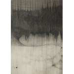 Jaroslaw Dabrowski (born 1961), Abstraction