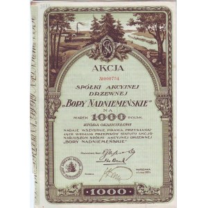 Rhineland Forest, stock for 1,000 marks in 1921.