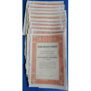 Sada tapiet: 10 akcií Sliezskych baní a cínových závodov z roku 1937 Lipiny