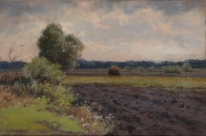 Józef Rapacki (1871 Warszawa - 1929 Olszanka k. Skierniewic), Pejzaż letni z fragmentem pola