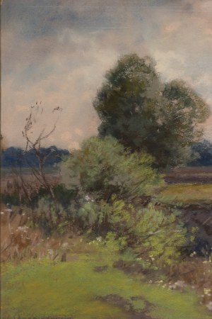 Józef Rapacki (1871 Warszawa - 1929 Olszanka k. Skierniewic), Pejzaż letni z fragmentem pola