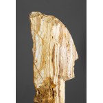 Jakub Górski (ur. 1989, Przemyśl), Totem, 2025