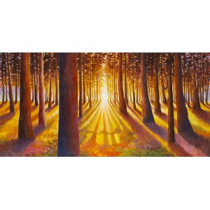 Monika Siwiec (b. 1995, Lubliniec), Cathedral of Forest Glow, 2025