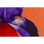 Jagoda Charkiewicz (b. 1982), Goddess of the Rainbow (Iris), 2025