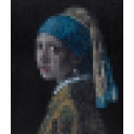 Szymon Ziarek (ur. 1985), Dość niewyraźny portret / Dama 8 bitowa
