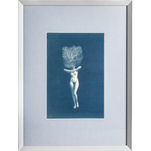 Kasia Kalua Krynska, #10 from LIMFA series, cyanotype 2023, 1/1 unique