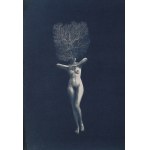 Kasia Kalua Krynska, #10 from LIMFA series, cyanotype 2023, 1/1 unique