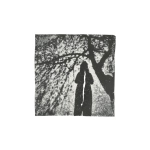 Kasia Navarra, Dreams, Episodes #21