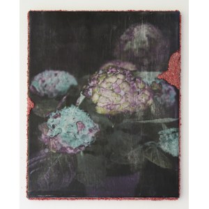 Iwona Germanek, Ortensie, 50x40 cm,