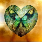 Maciej Mankowski, Butterfly 50x50