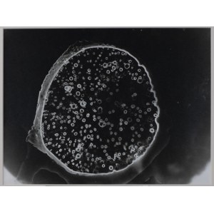 Marek Noniewcz, de la série Herschel's Galaxies, 44 x 52 cm, unique, 1/1