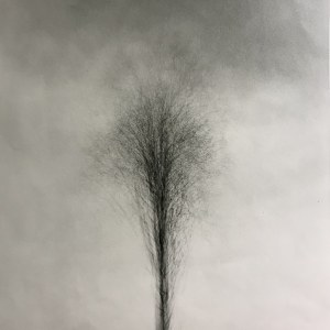 Sylvester Hawryl, MP 40412, 47x47.5 cm
