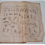 KLUK Krzysztof - DICTIONARY OF PLANTS volume I-III, Warsaw 1786-88 beautiful piece!