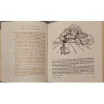 SWIFT Jonathan - THE TRAVELS OF GULIVER Illustrations RYCHLICKI