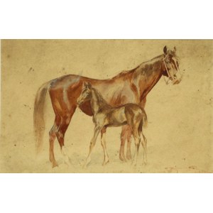 Franciszek ZAJCHOWSKI (1860-1923), Horses, 1907 (518)