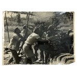 PSZnZ Large Press Photo of Artillery of the 2nd Corps