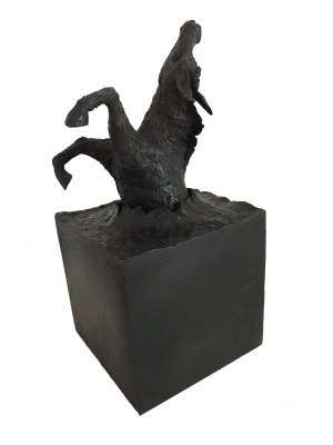 SKOLIMOWSKI JERZY, Donkey for ever, ed. 2/8, 2023